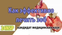 Лечение и поддержка щитовидной железы (Видео-лекция)