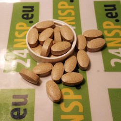 ginkgo-biloba-4